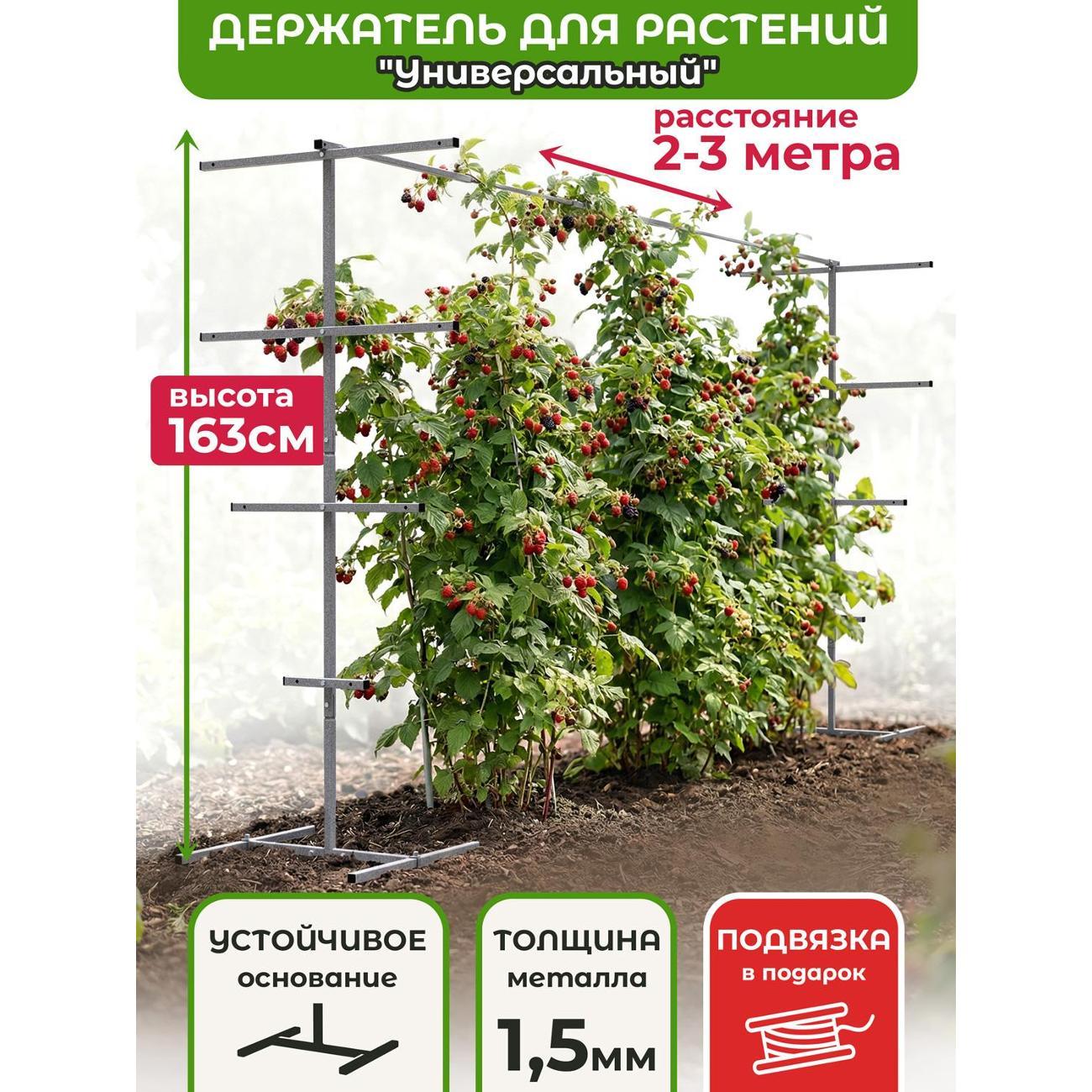 Изображение товара Опора для растений Рус.Хоум Держатель для растений "Универсальный 2" M с распоркой