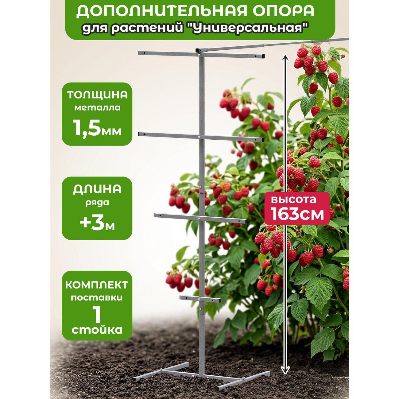 Изображение товара Опора для растений Рус.Хоум Держатель для растений "Универсальный 2" M с распоркой