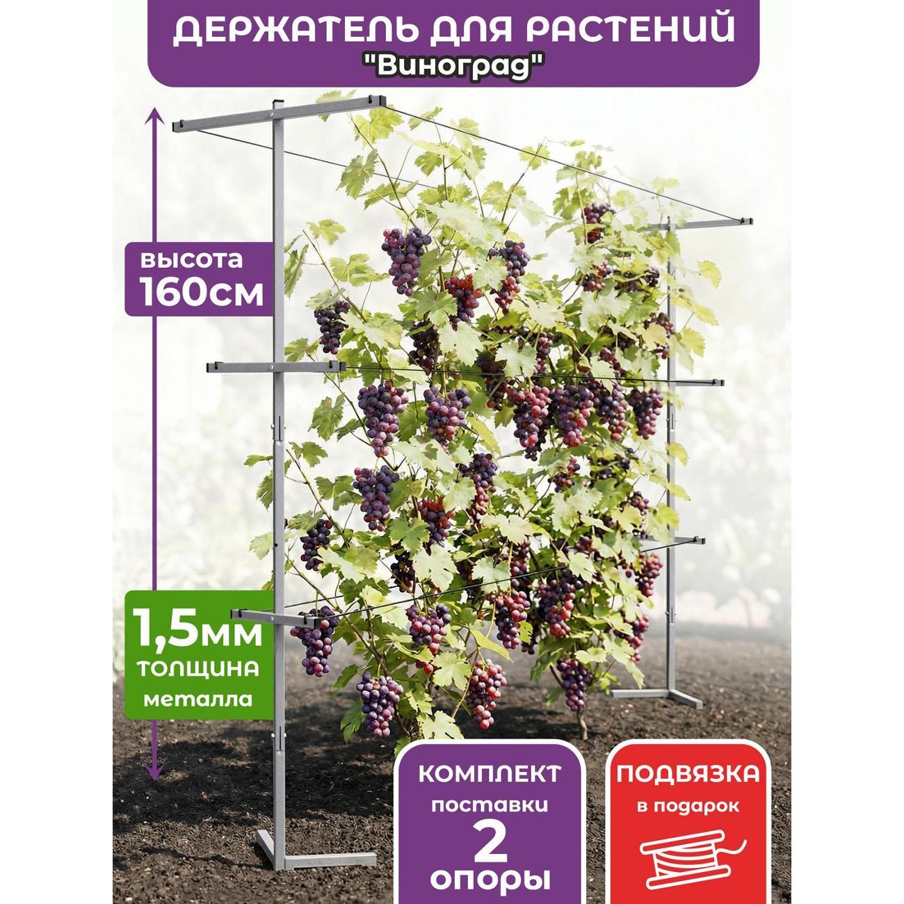 Изображение товара Опора для растений Рус.Хоум Держатель для растений "Виноград 3" 160 см M (2шт)