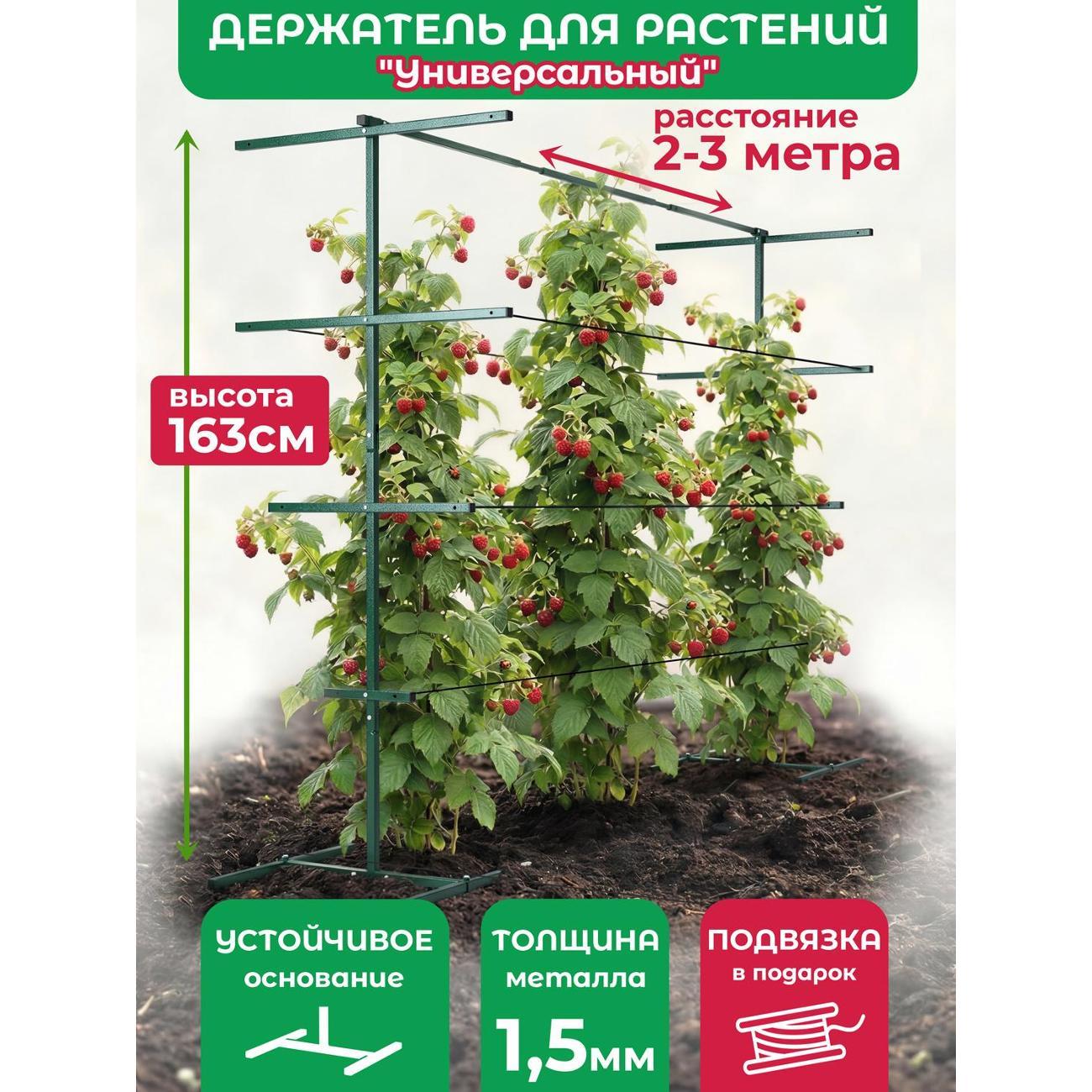 Изображение товара Опора для растений Рус.Хоум Держатель для растений "Универсальный 2" M с распоркой