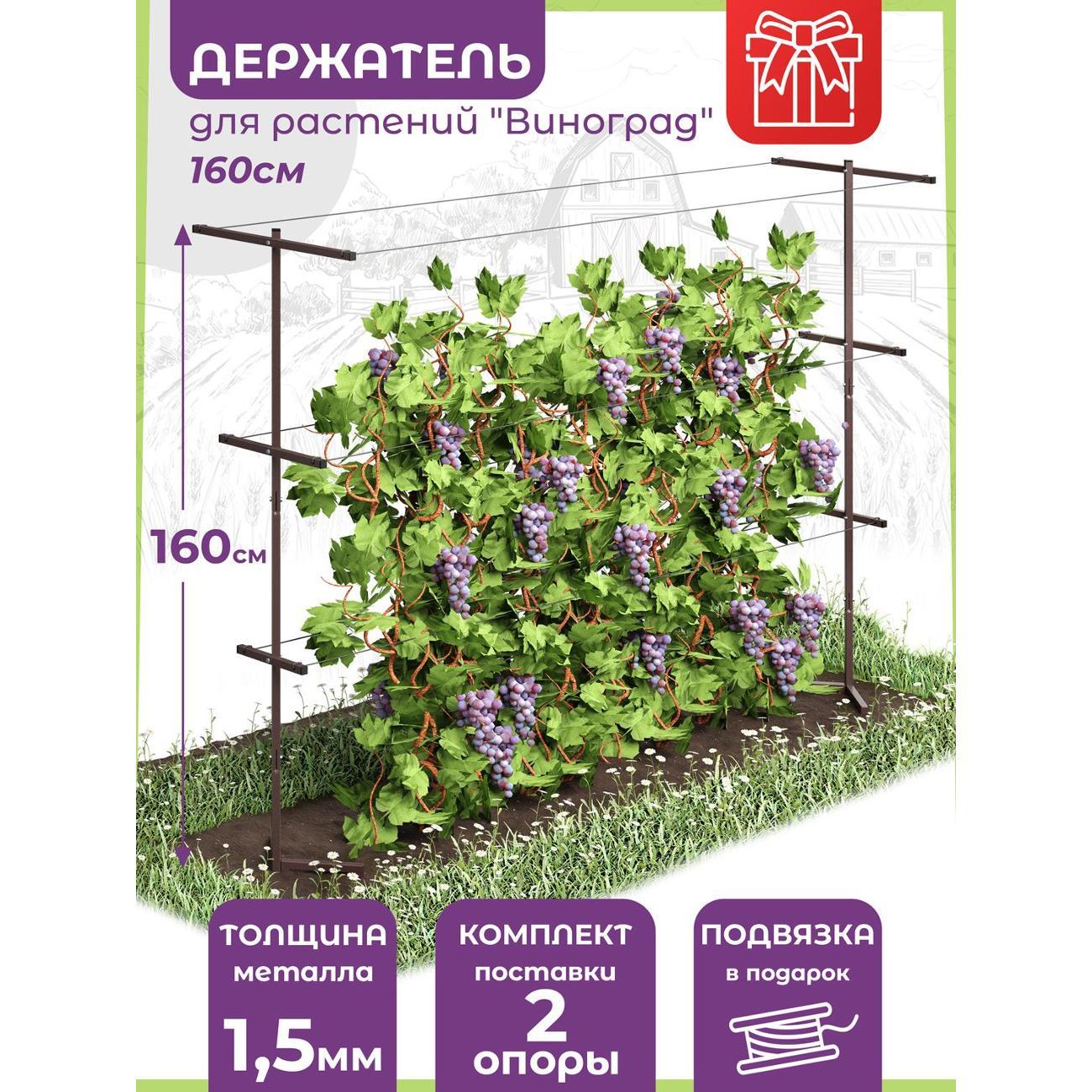 Изображение товара Опора для растений Рус.Хоум Шпалера для растений "Виноград 3" 160 см BR (2 опоры)