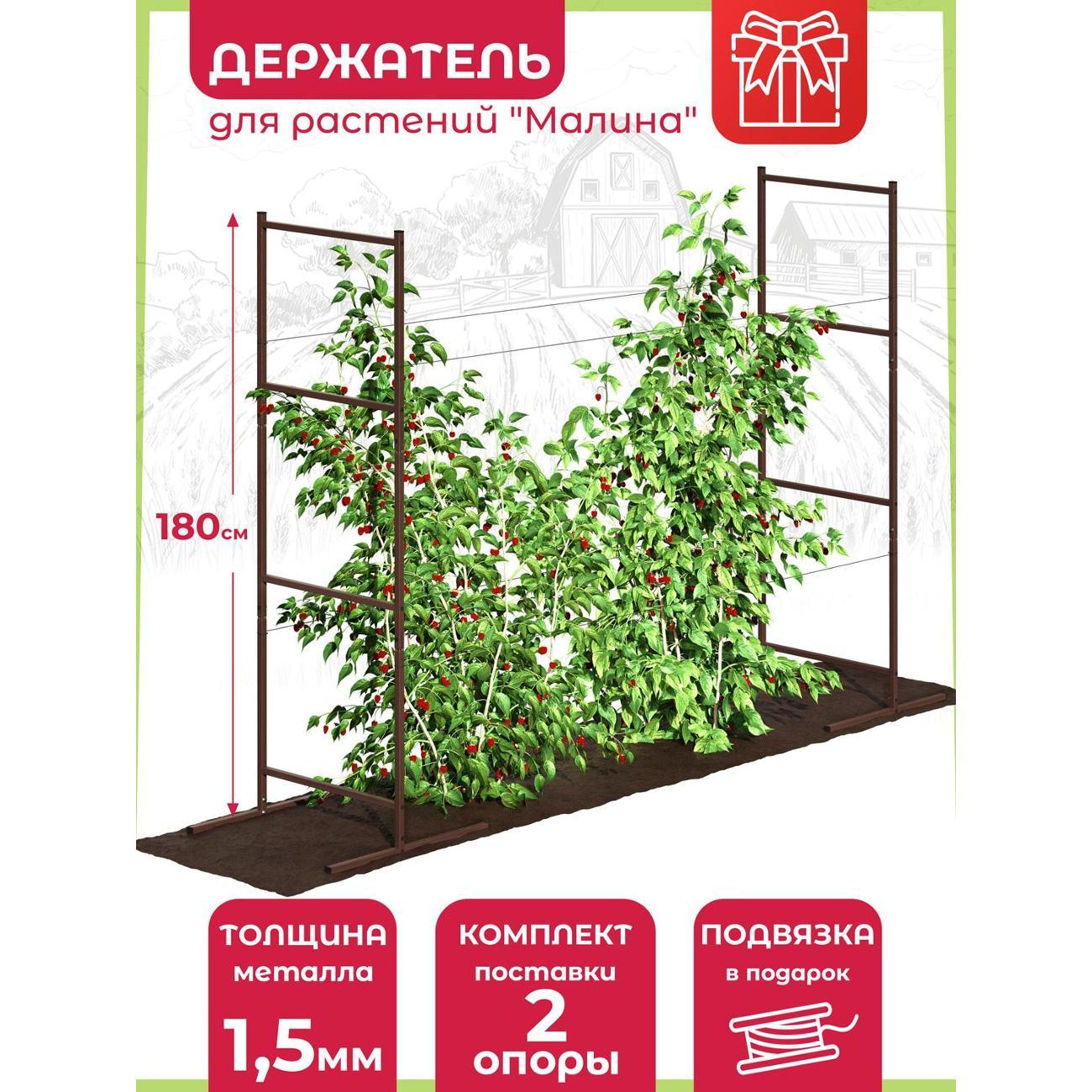 Изображение товара Опора для растений Рус.Хоум Держатель для растений "Малина" 180 см BR (2 опоры)