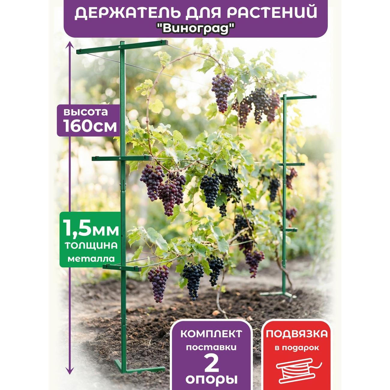 Изображение товара Опора для растений Рус.Хоум Держатель для растений "Виноград 3" 160 см BR (2 опоры)