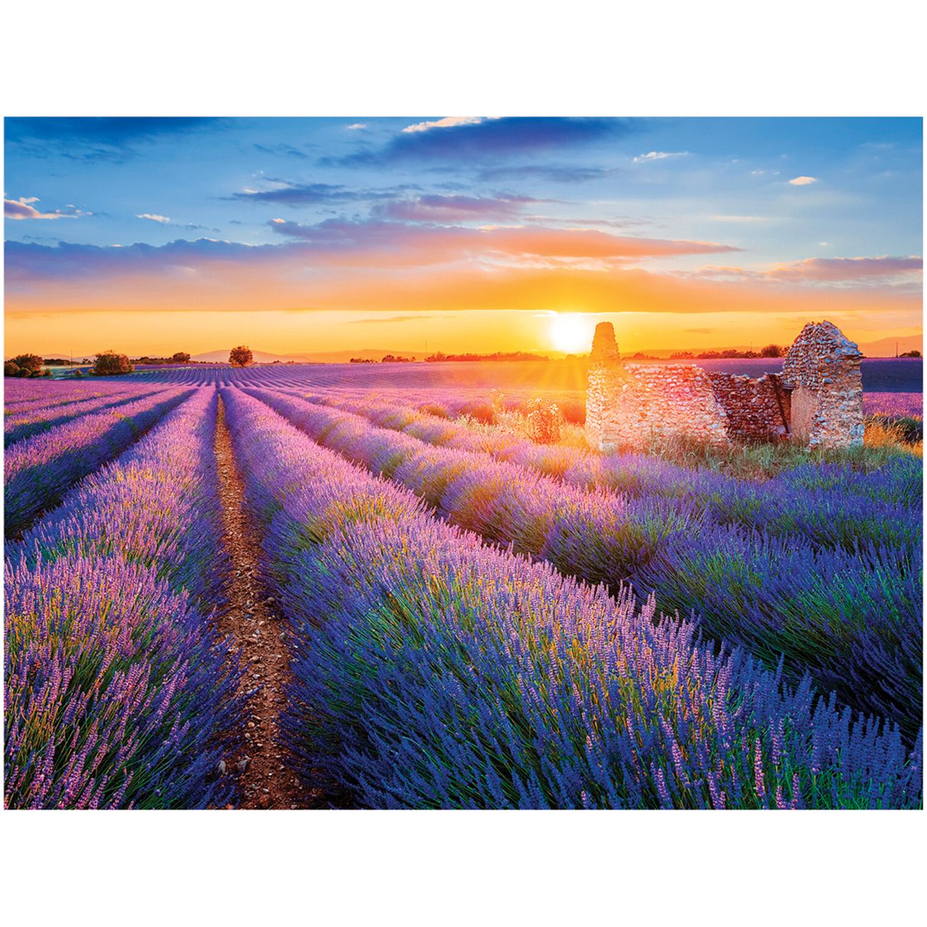 Изображение товара Картина стразами Остров сокровищ Лавандов поле, 40х50см (662426)