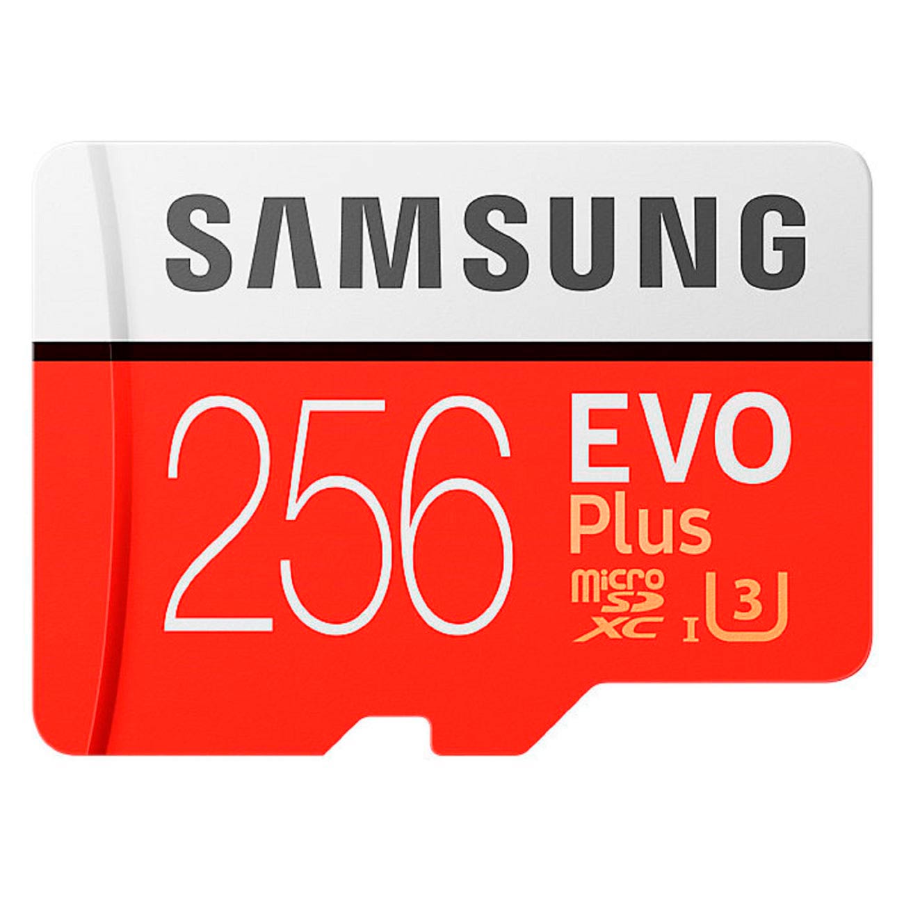 Купить Карта памяти MicroSD Samsung 256GB Evo Plus (MB-MC256GA/RU) в  каталоге интернет магазина М.Видео по выгодной цене с доставкой, отзывы,  фотографии - Москва