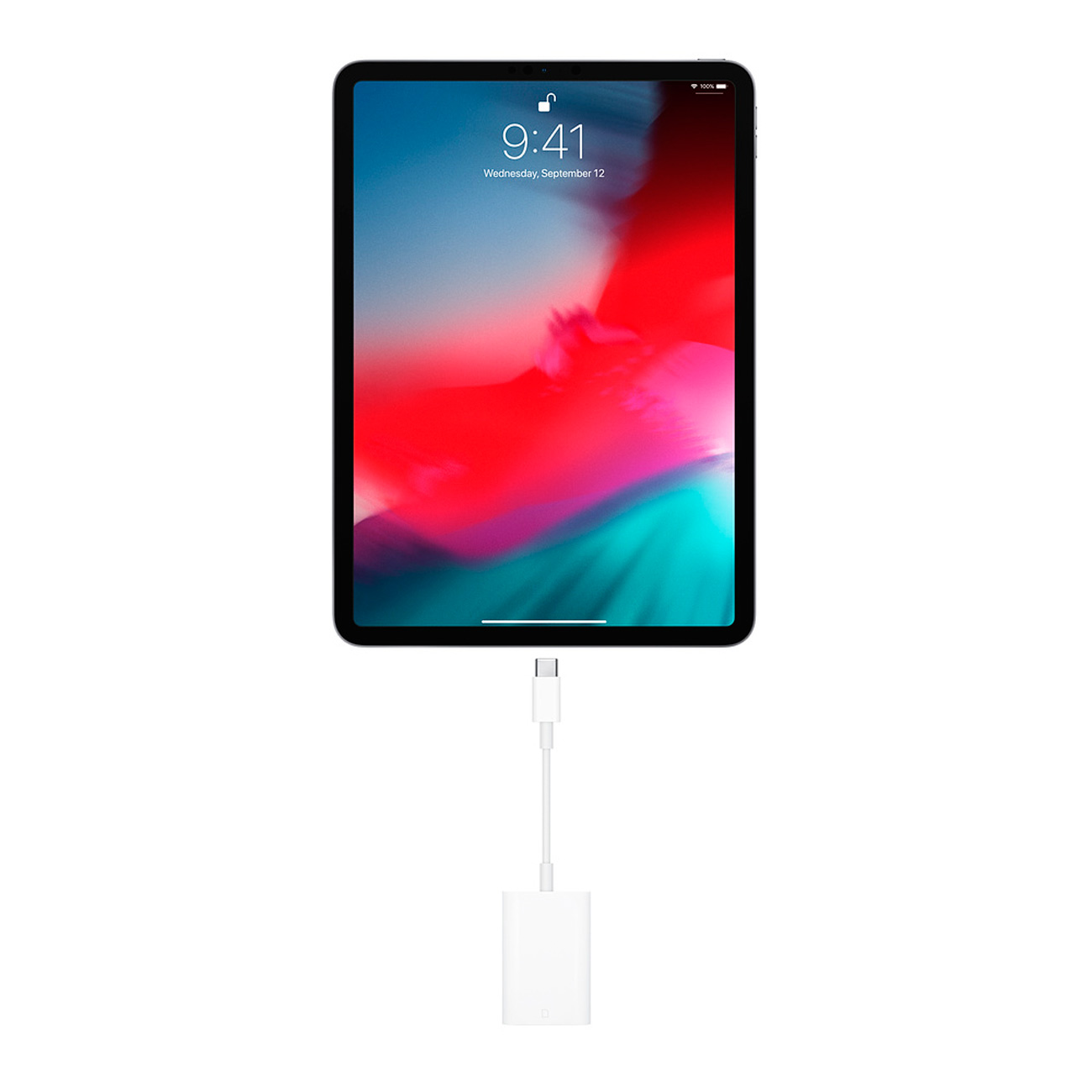 Купить Переходник для iPad Pro 3Gen Apple USB-C to SD Card Reader  (MUFG2ZM/A) в каталоге интернет магазина М.Видео по выгодной цене с  доставкой, отзывы, фотографии - Москва