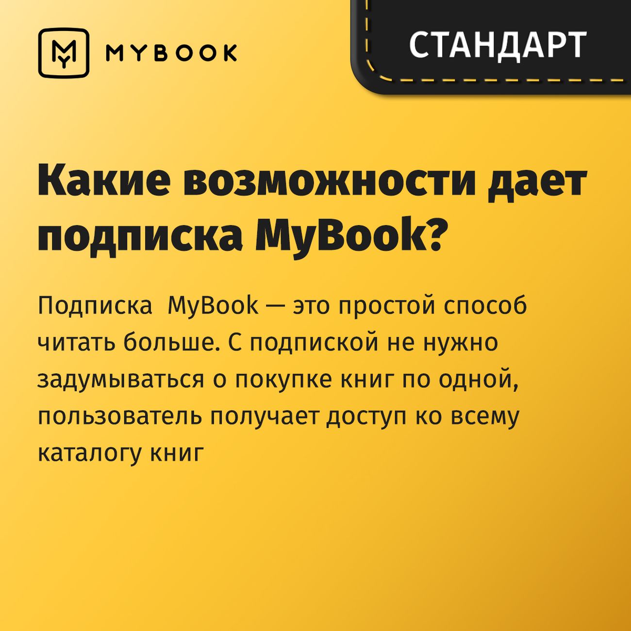 Книги Mybook Стандарт - Подписка 12 месяцев