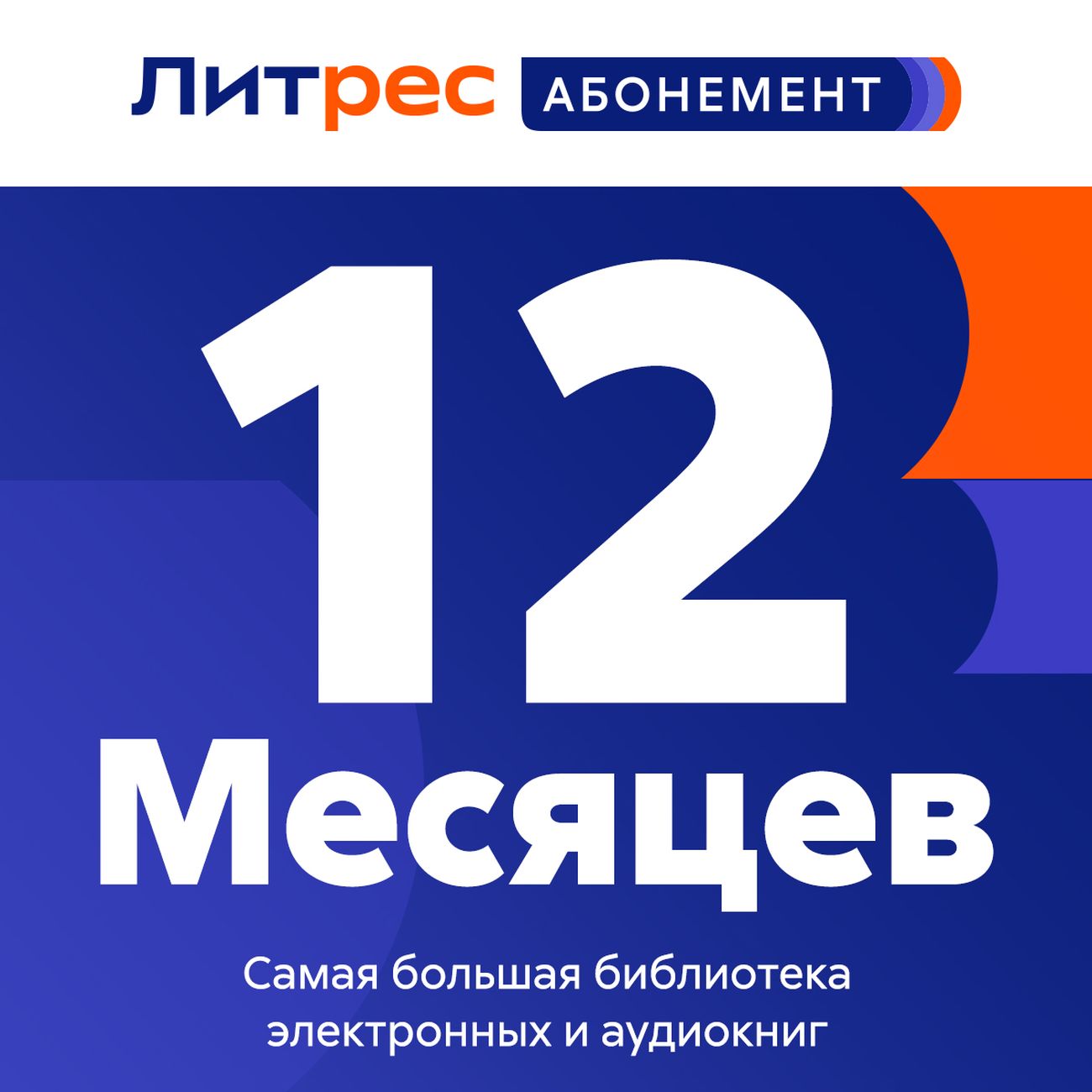 Книги ЛитРес Абонемент на 12 месяцев