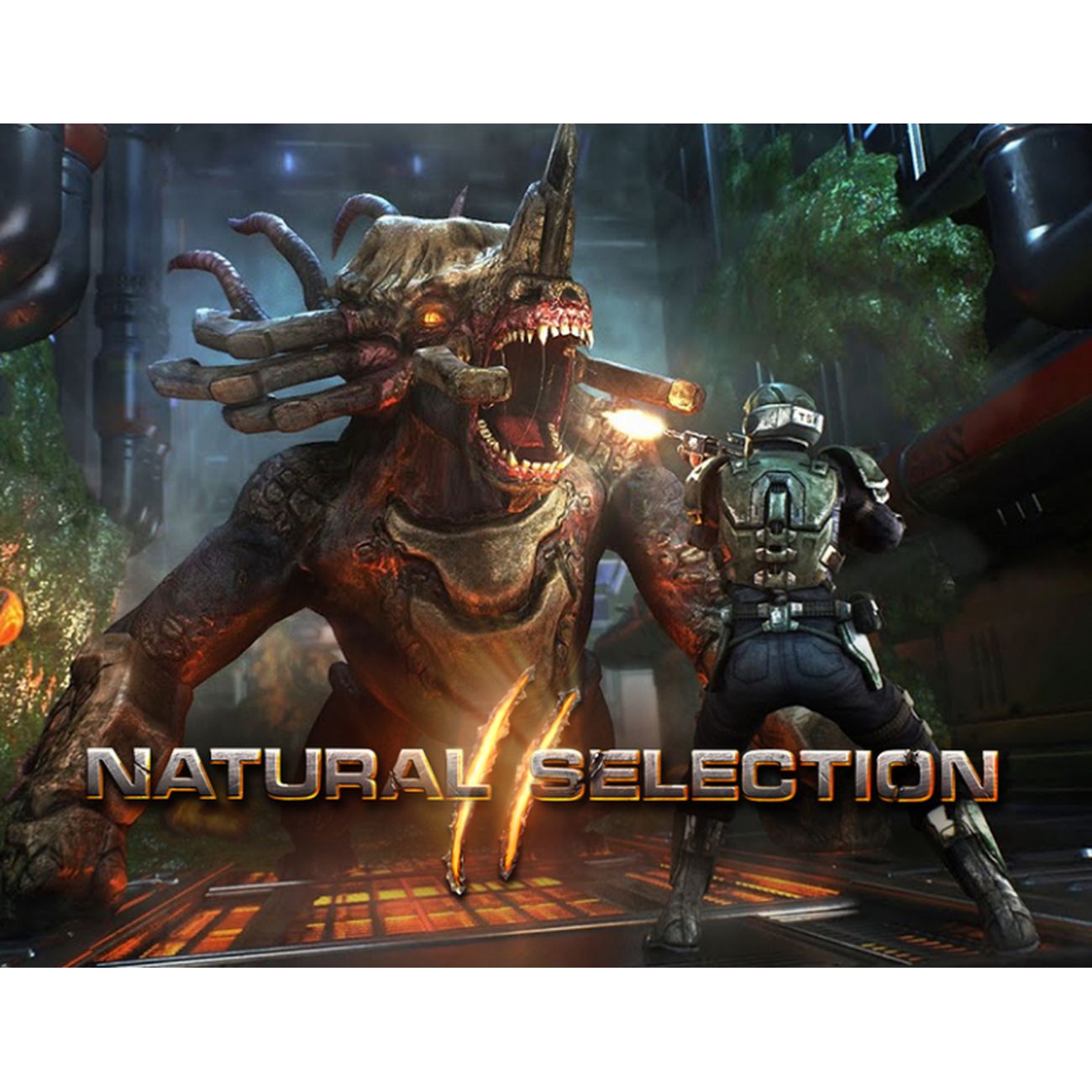 Купить Цифровая версия игры PC Unknown Worlds Ent. Natural Selection 2 в  каталоге интернет магазина М.Видео по выгодной цене с доставкой, отзывы,  фотографии - Москва