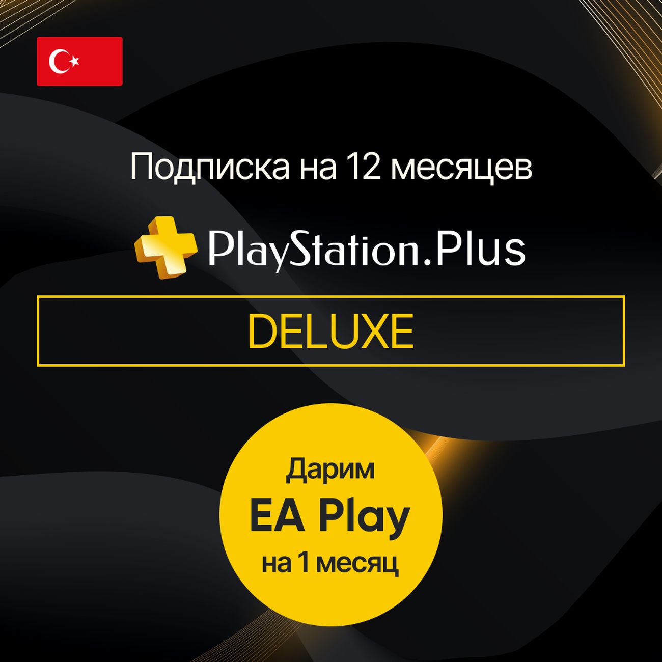 Услуга по активации подписки PS Sony DELUXE 12 мес. + EA на 1 мес. в  подарок (Турция)