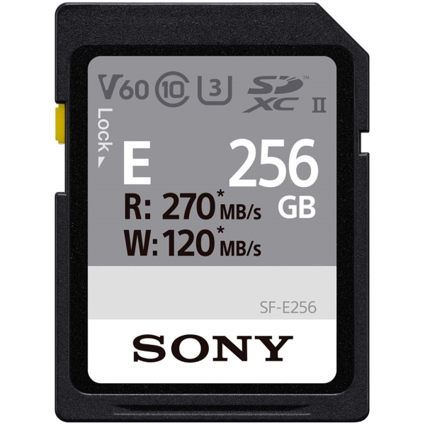 Sony 256GB 270R/120W (SF-E256/T)