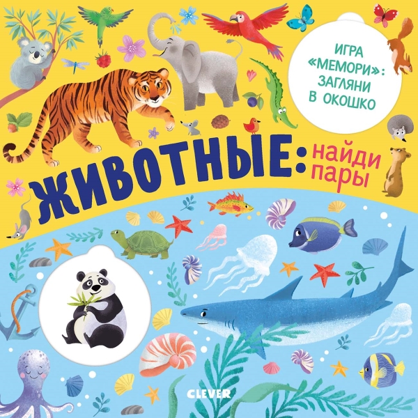 Как найти партнера для жизни? ВИДЕО 3: Изучаем объект внимания | Муж жена, Отношения, Женщина