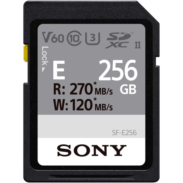 Sony 256GB (SF-E256/T1)