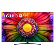 Изображение товара Телевизор LG 55UR81006LJ