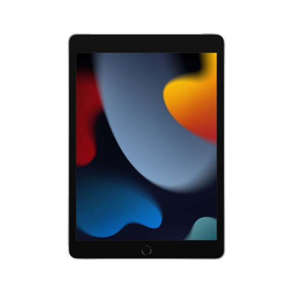 Apple iPad 10.2 Wi-Fi+Cell 256GB Silver (MK4H3RU/A)