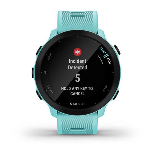 Изображение товара Спортивные часы Garmin Forerunner 55 Aqua (010-02562-12)
