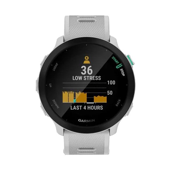 Изображение товара Спортивные часы Garmin Forerunner 55 (010-02562-11)