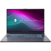 Изображение товара Восстановленный ноутбук игровой Thunderobot 911 Plus X /17.3"/Core i5-12450H/16/512GB/RTX 3050 Ti /Win/Grey, отличный