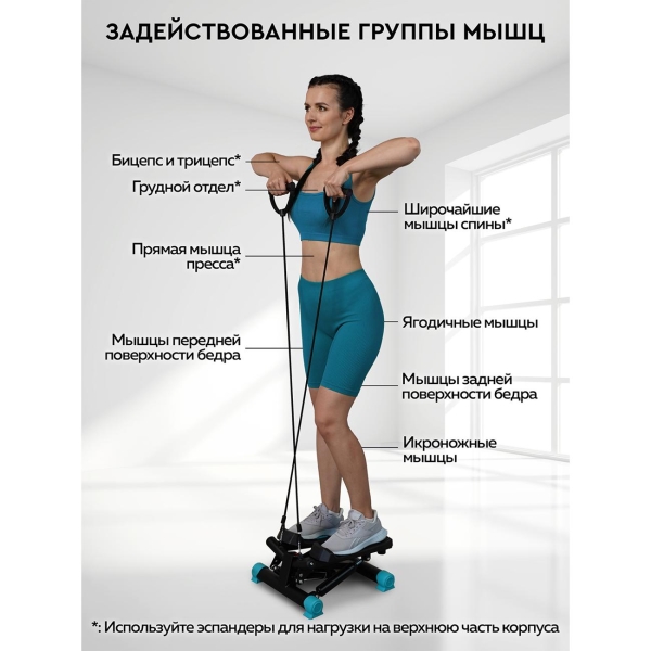 Степпер какая группа мышц. Степпер какая группа мышц