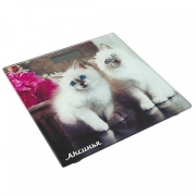 Изображение товара Весы напольные Аксинья КС-6003