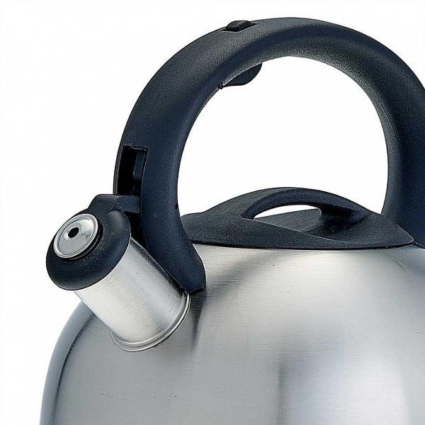 Изображение товара Чайник Webber BE-0547