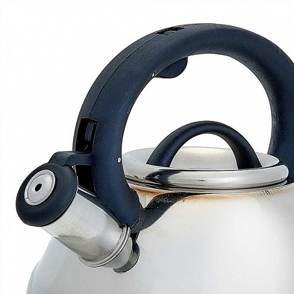 Изображение товара Чайник Webber BE-0524