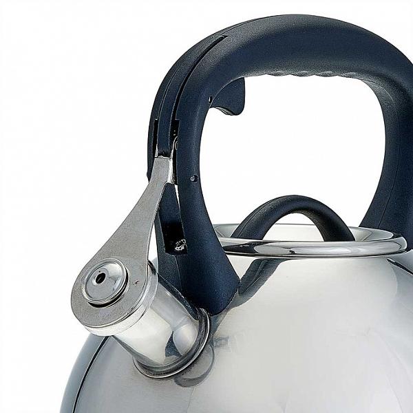 Изображение товара Чайник Alpenkok AK-516