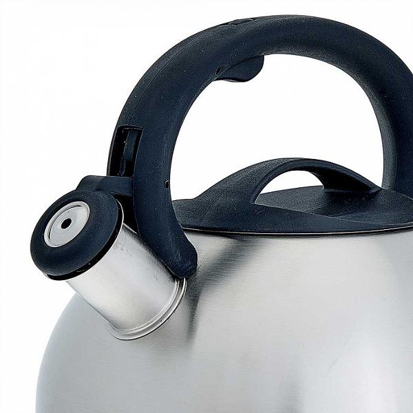 Изображение товара Чайник Webber BE-0587