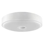 Изображение товара Умный светильник Yeelight YLXD09YL