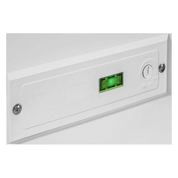 Изображение товара Морозильный ларь Pozis FH-250