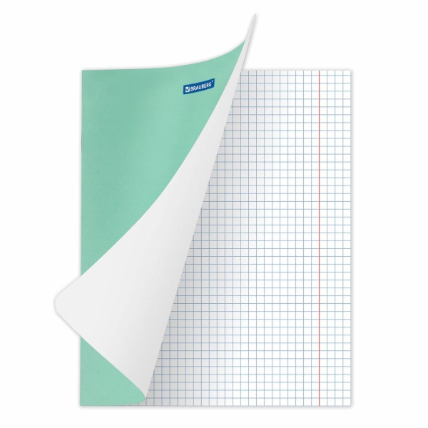 Изображение товара Тетрадь предметная Brauberg 880068 клетка 12 л, 20 штук