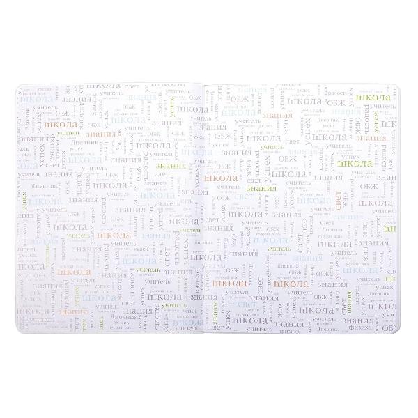 Изображение товара Школьный дневник Brauberg 105444