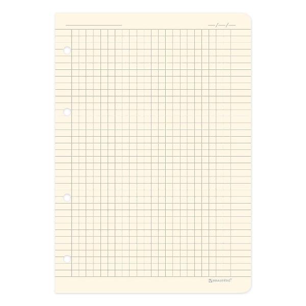 Изображение товара Тетрадь на кольцах 120л Brauberg 403639