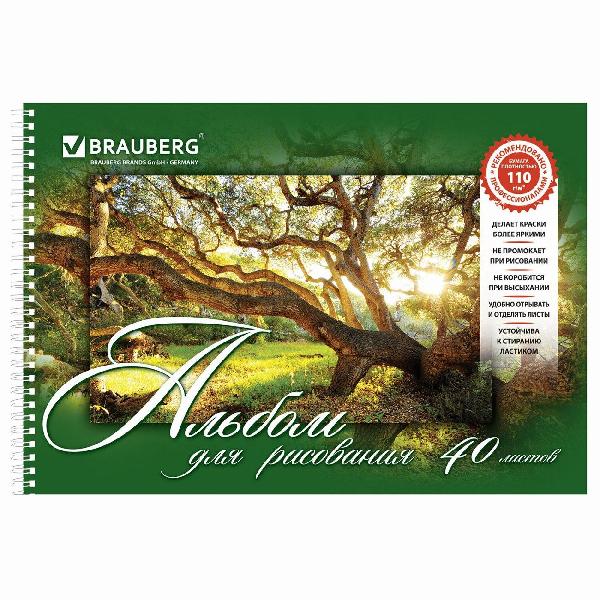 Изображение товара Альбом для рисования Brauberg 880031