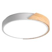 Изображение товара Светильник светодиодный потолочный Jazzway PPB Sсandic-R 24w 4000K WH/W