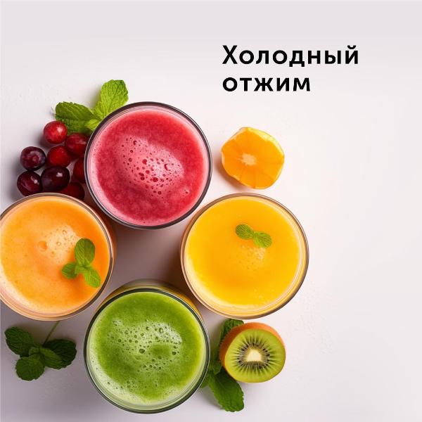 Изображение товара Соковыжималка шнековая RED SOLUTION RJ-914S