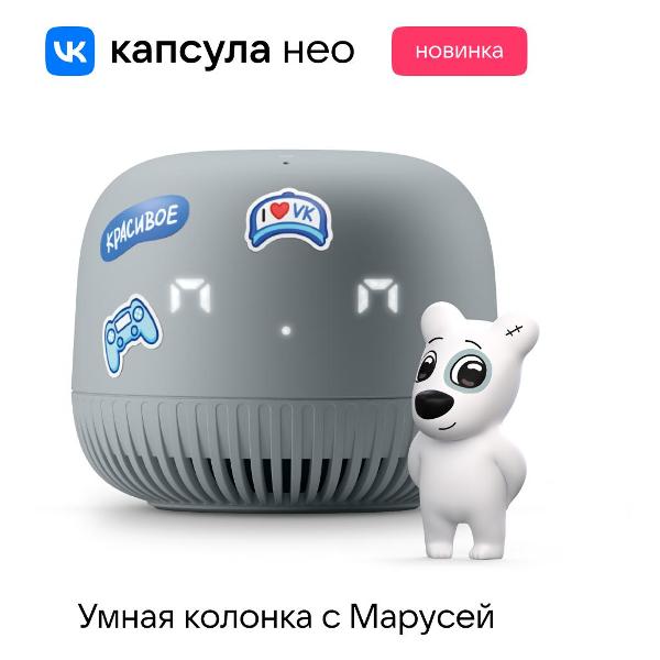 Умная колонка VK Капсула Нео серая (VKSP11GY)