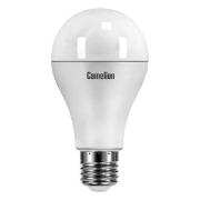 Изображение товара Лампа Camelion LED25-A65/865/E27 (10 шт.)