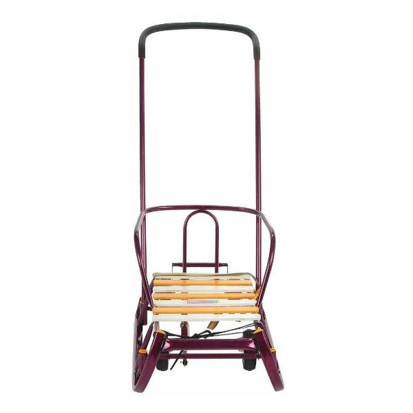 Изображение товара Санки Nika Т6У амарант