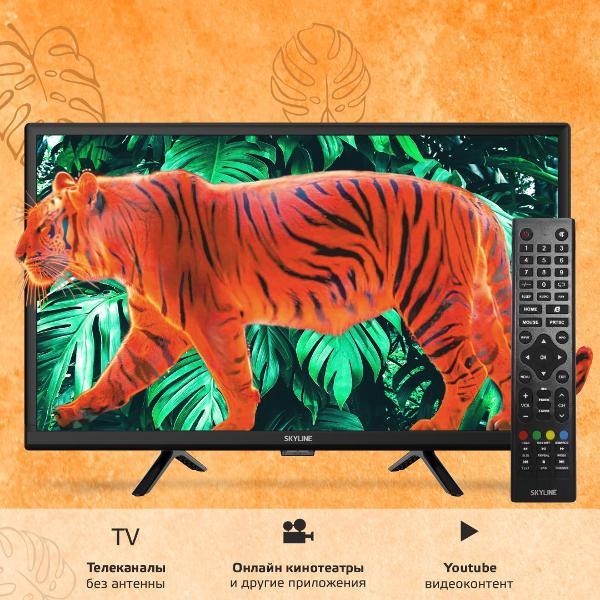 Изображение товара Телевизор Skyline 24YST5970