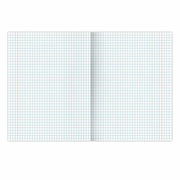 Изображение товара Тетрадь на кольцах 120 листов Brauberg 12шт DELIGHT 404606