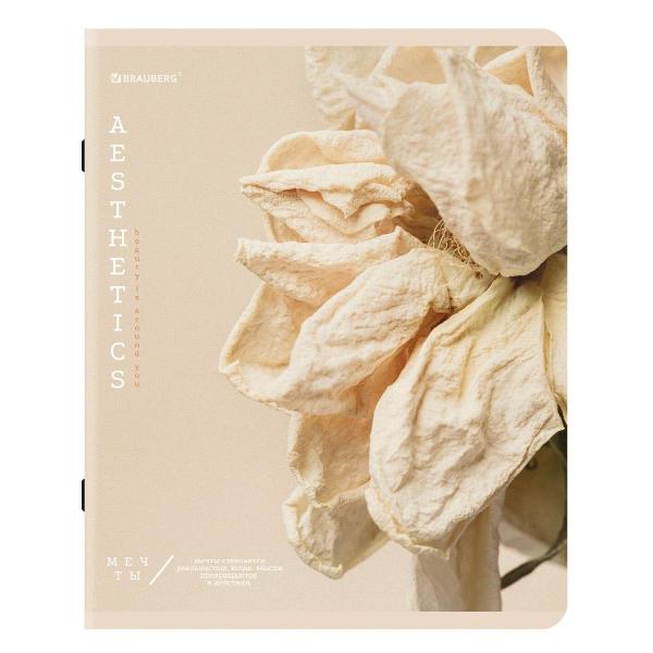 Изображение товара Тетрадь Brauberg ДЭК 48л 5шт Пастельная 404948