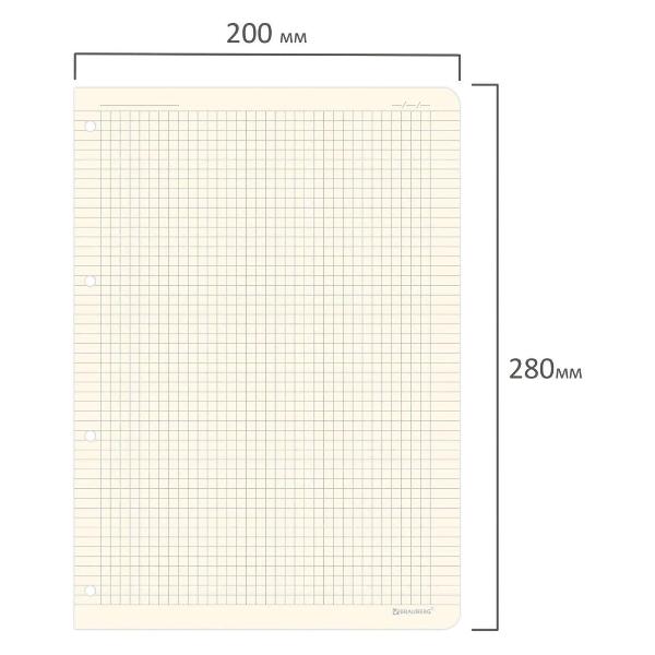 Изображение товара Тетрадь на кольцах 120 листов Brauberg 404517