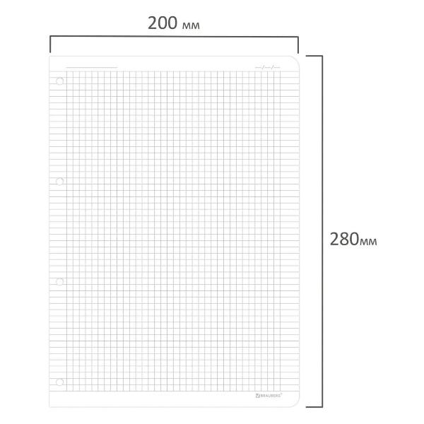 Изображение товара Тетрадь на кольцах 120 листов Brauberg 404516