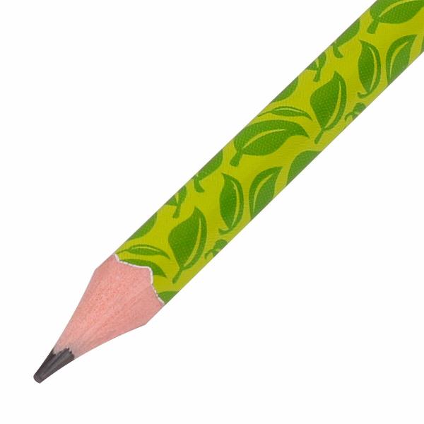 Изображение товара Карандаш Brauberg Карандаши ч/гр с ластиком HB GREEN 72шт 880761