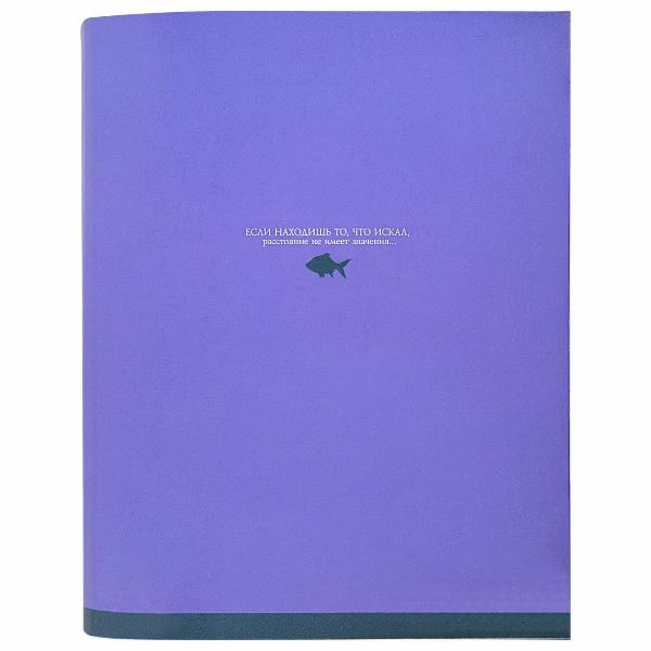 Изображение товара Тетрадь на кольцах 120 листов Brauberg 404716