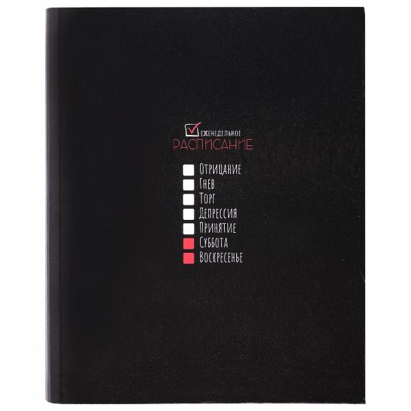 Изображение товара Тетрадь на кольцах 120 листов Brauberg 404717