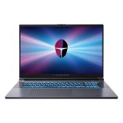 Изображение товара Ноутбук игровой Thunderobot 911 Plus G3 XE/17.3"/Core i5-134200H/16/512/RTX 4050/Win/Grey