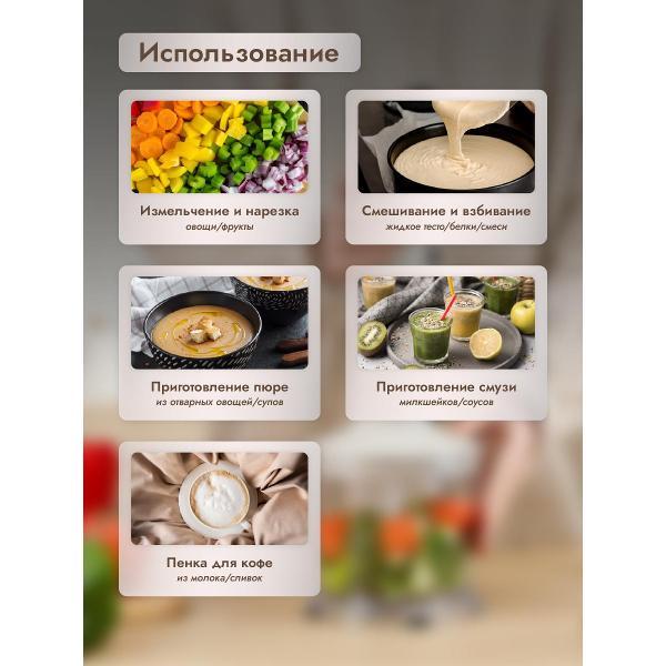 Изображение товара Погружной блендер DUMONT DMBH-6002