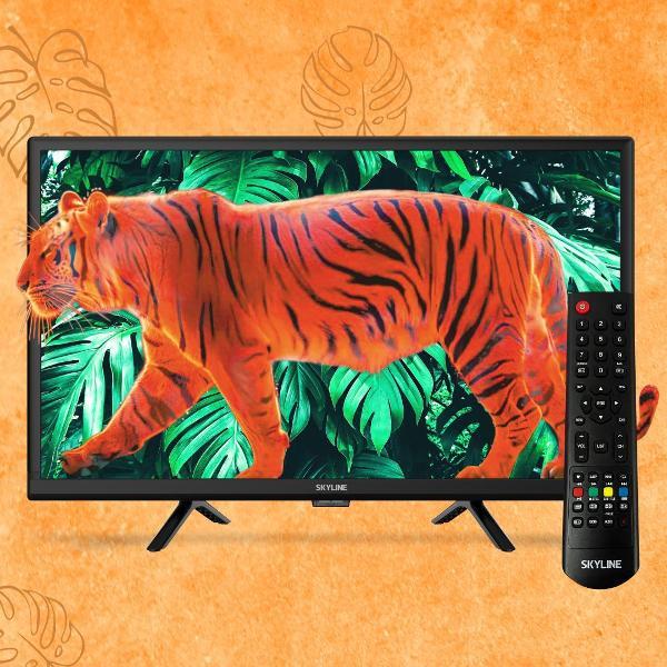 Изображение товара Телевизор Skyline 24YT5900